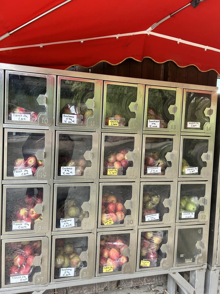 Distributeur casier Schnersheim