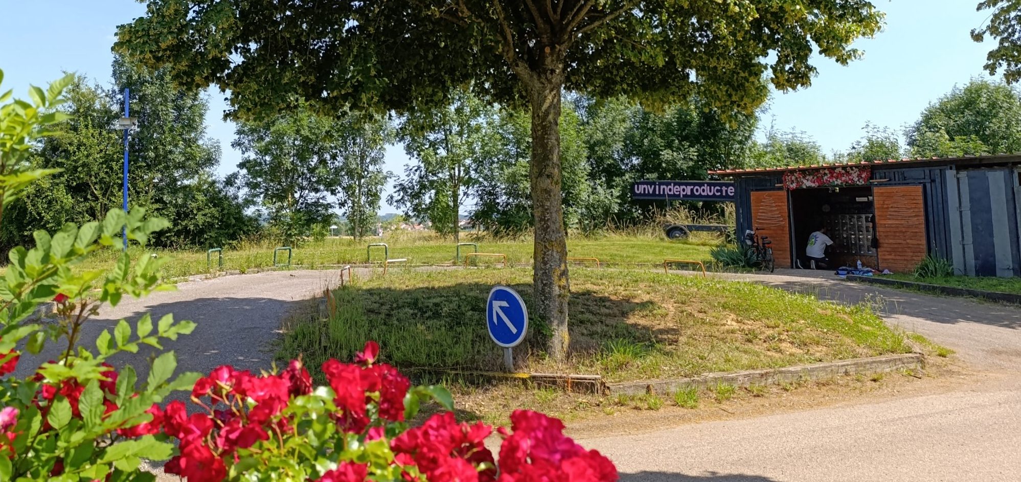 Distributeur maraîcher