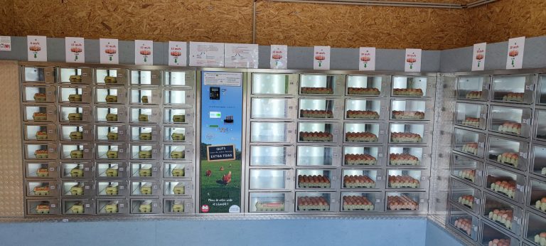 Distributeur d'oeufs