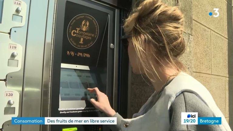 Distributeur auto coquillages