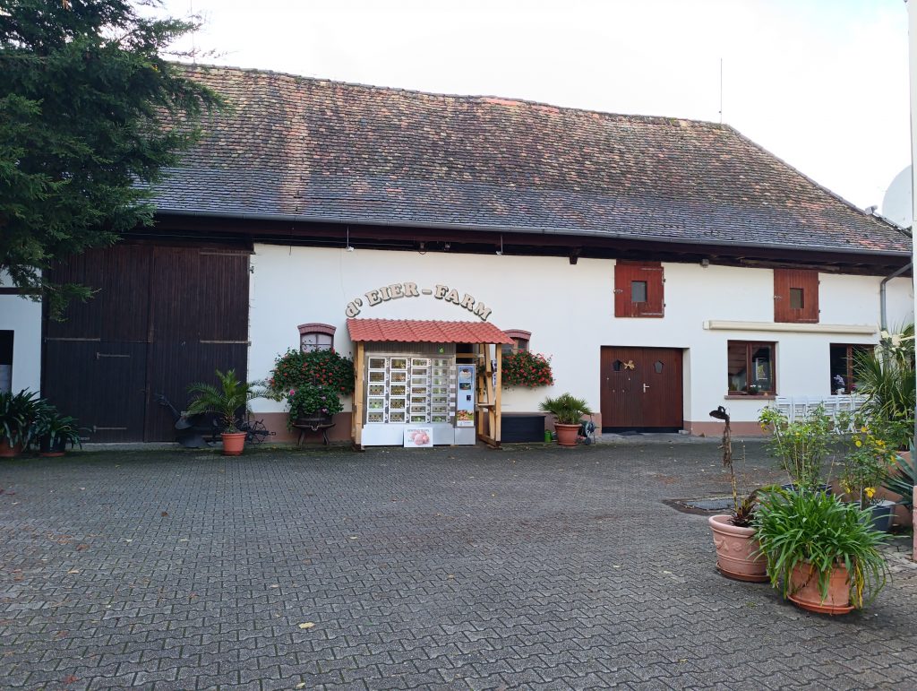 Distributeur d'oeufs dans une cour de ferme